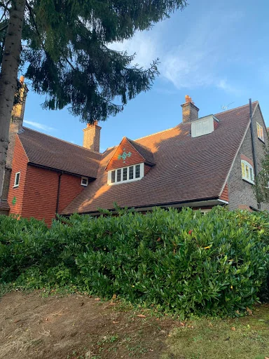 Merlin Truline Roofing Ltd photo 6