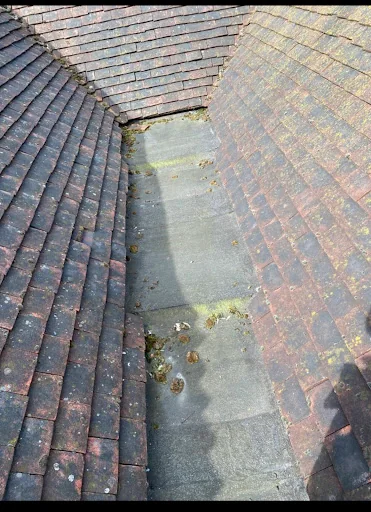 Hellings Brothers photo 3