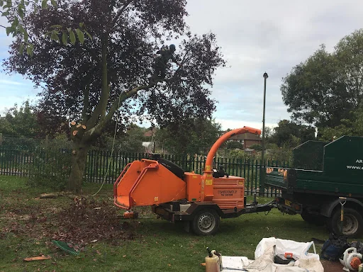 Elmbridge Tree Services Ltd photo 5