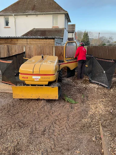 Roots and Shoots - Shaun Petty photo 1