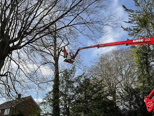 Roots and Shoots - Shaun Petty photo 4