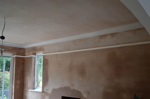 Be Plastered photo 6