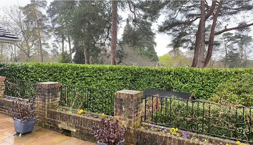 Karl Loynton Ltd photo 3