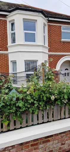 T Buss and Son Painters and Decorators photo 5