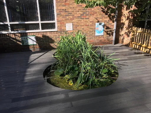 Park Fencing Eastbourne photo 7