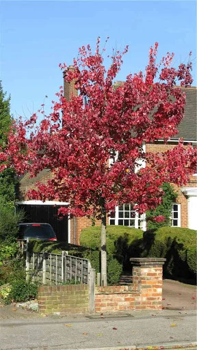 Turner Tree Care Ltd photo 2