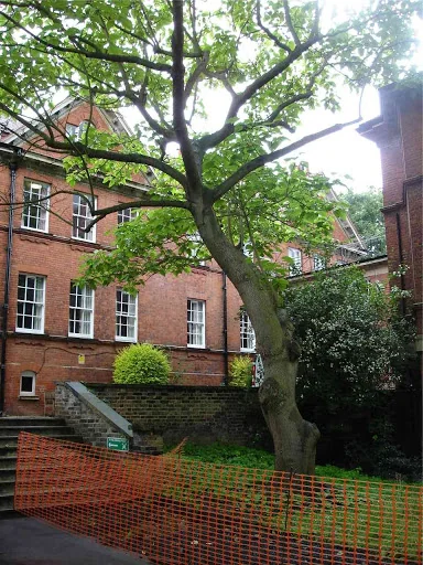 Turner Tree Care Ltd photo 4