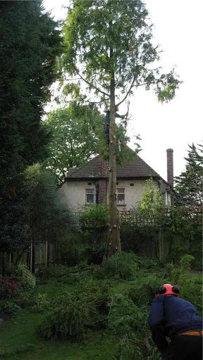 Turner Tree Care Ltd photo 5