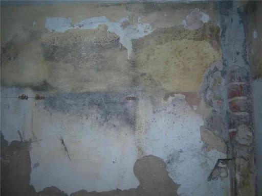 Awsons Sussex Conservation photo 1