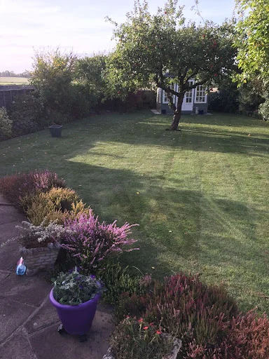 Bradshaw &amp; Son photo 7