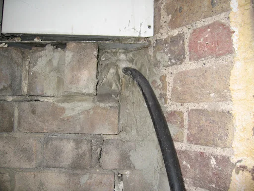 Beaver Pest Control photo 1