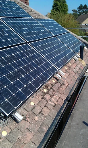 Beaver Pest Control photo 4