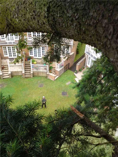 Broadoak Tree Care photo 2