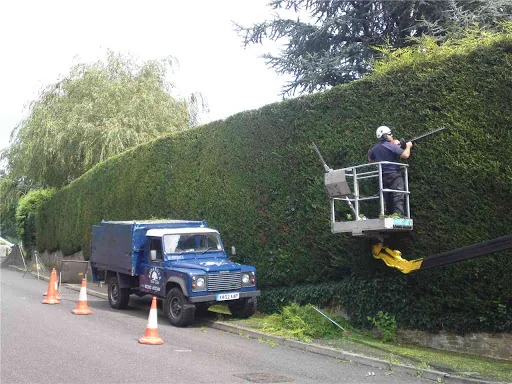 Broadoak Tree Care photo 4