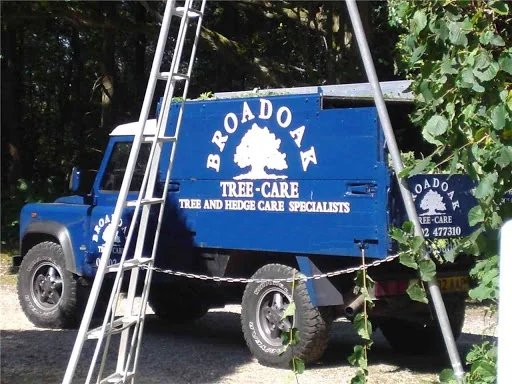 Broadoak Tree Care photo 6