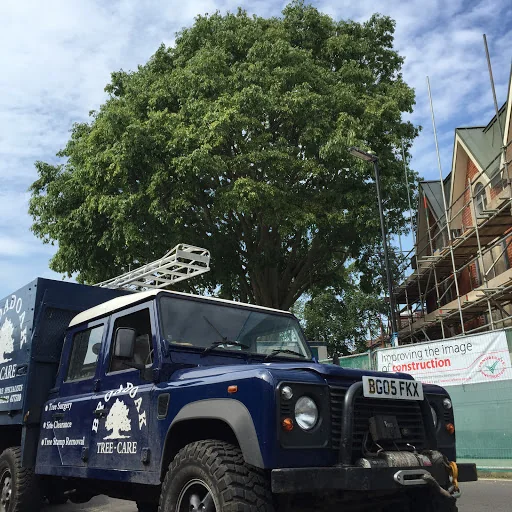 Broadoak Tree Care photo 7