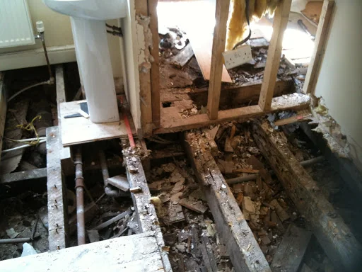 Atlas Survey And Building Services Ltd photo 4