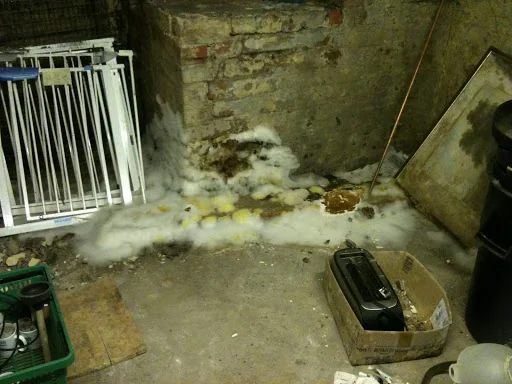 Atlas Survey And Building Services Ltd photo 5