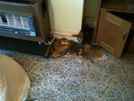 Atlas Survey And Building Services Ltd photo 6