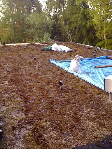 N K Beston Flat Roofing photo 7