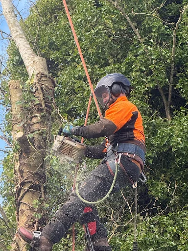 The English Garden Company Ltd photo 1