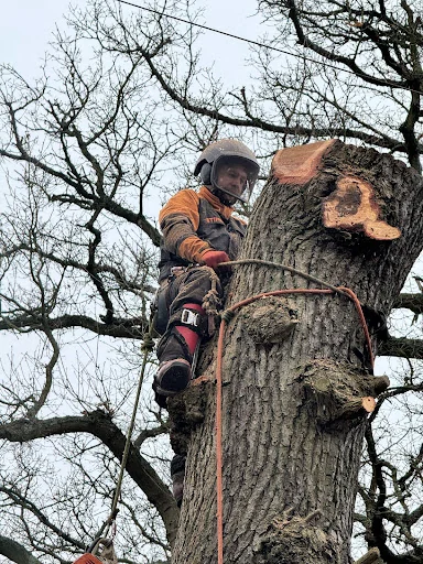 The English Garden Company Ltd photo 5