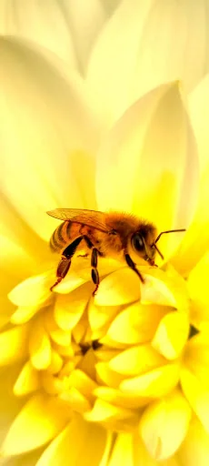 The English Garden Company Ltd photo 8