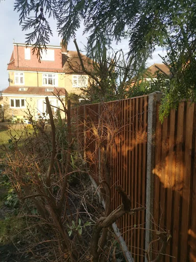 Willow Garden Services photo 4