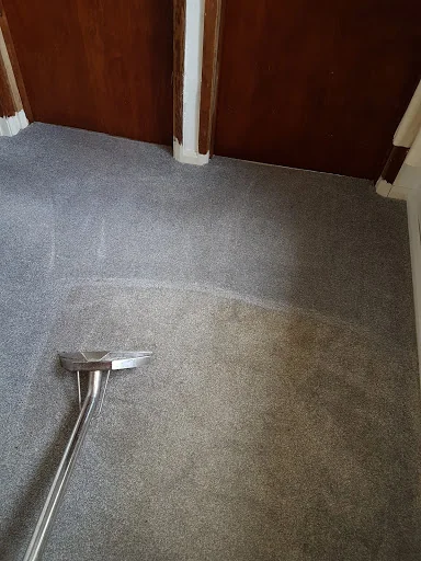 Dolphin Cleaning (Sussex) Ltd photo 1