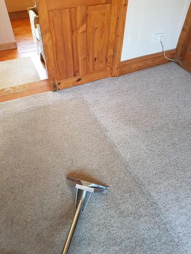 Dolphin Cleaning (Sussex) Ltd photo 2