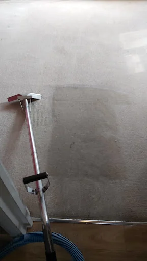 Dolphin Cleaning (Sussex) Ltd photo 3