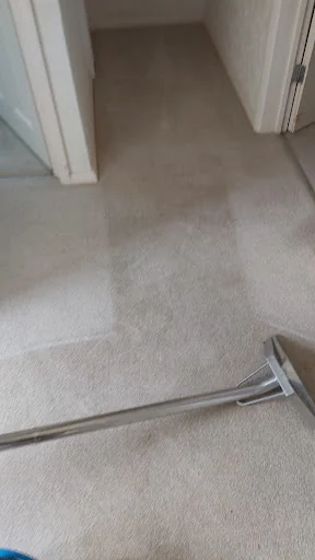 Dolphin Cleaning (Sussex) Ltd photo 4