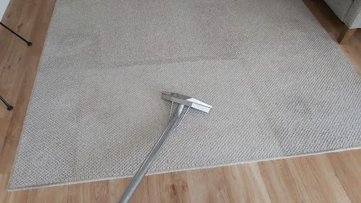 Dolphin Cleaning (Sussex) Ltd photo 5