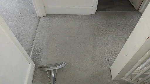 Dolphin Cleaning (Sussex) Ltd photo 6