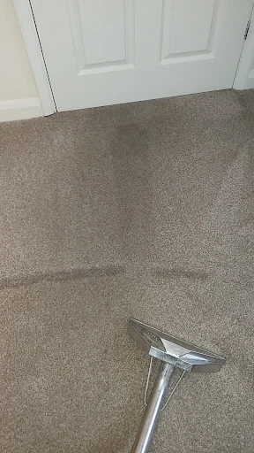 Dolphin Cleaning (Sussex) Ltd photo 7