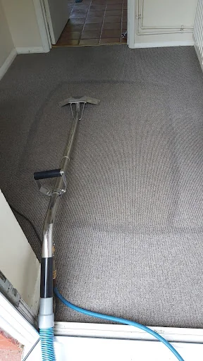 Dolphin Cleaning (Sussex) Ltd photo 8