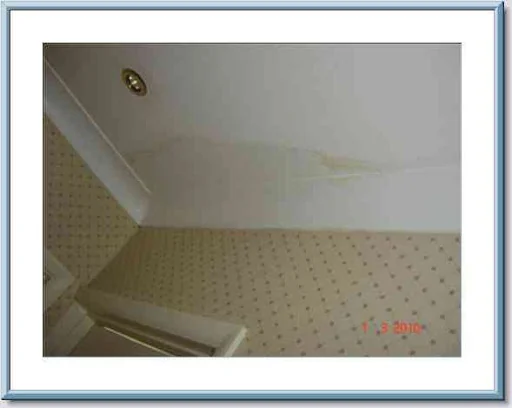 Adlem Decorators photo 4