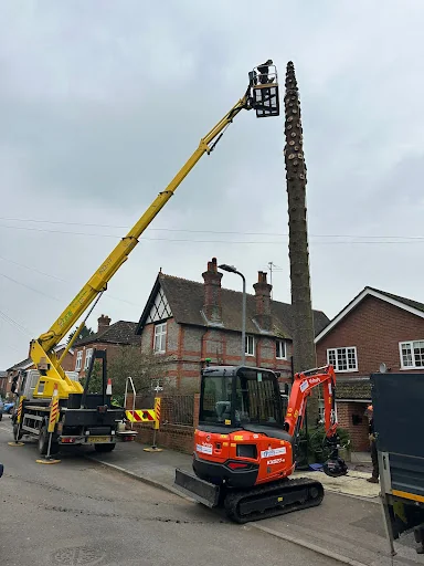 J D B Contractors &amp; Son Ltd photo 1