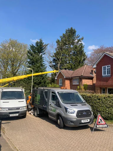 J D B Contractors &amp; Son Ltd photo 2