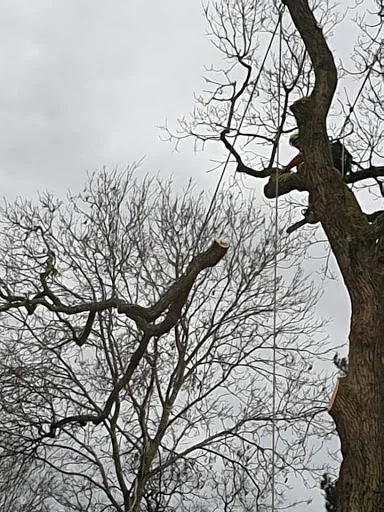 J D B Contractors &amp; Son Ltd photo 4