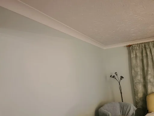 Toones Decorators photo 5