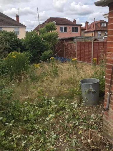 General Garden Services photo 3