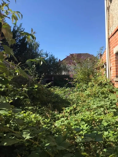 General Garden Services photo 5