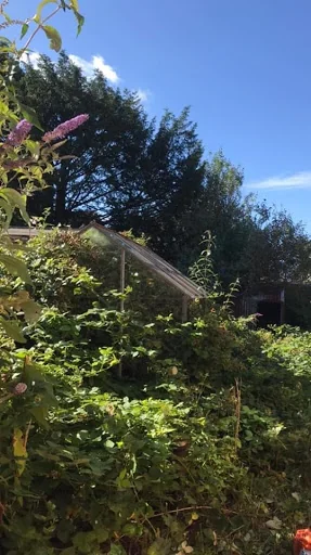 General Garden Services photo 6