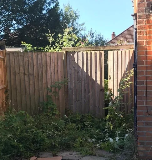 General Garden Services photo 7