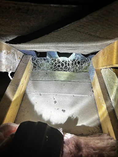 Guildford Pest Control Ltd photo 3