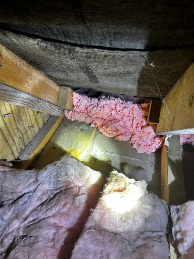 Guildford Pest Control Ltd photo 4