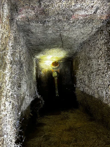 Guildford Pest Control Ltd photo 5