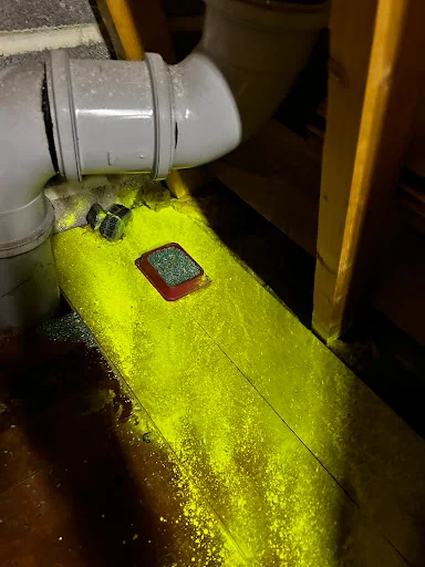 Guildford Pest Control Ltd photo 6