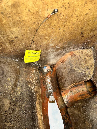 Guildford Pest Control Ltd photo 7